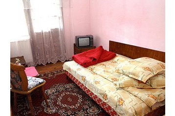 Romania Privát Vatra Dornei, Esterno